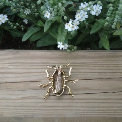 Broche scarabée en émail de dos avec épingle visible