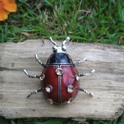 Broche scarabée vintage rouge en émail sur bois